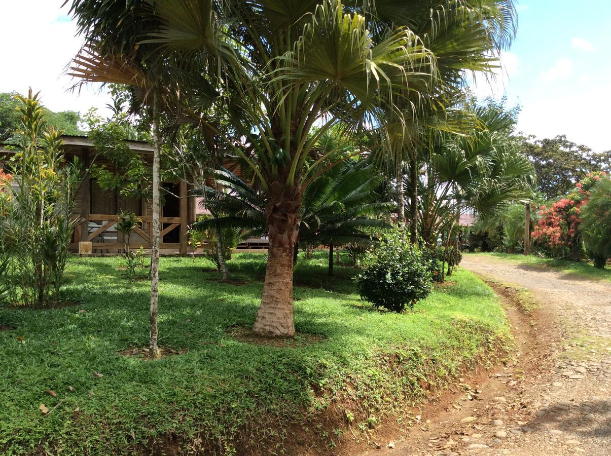 Hotel Pedacito De Cielo Boca Tapada Экстерьер фото