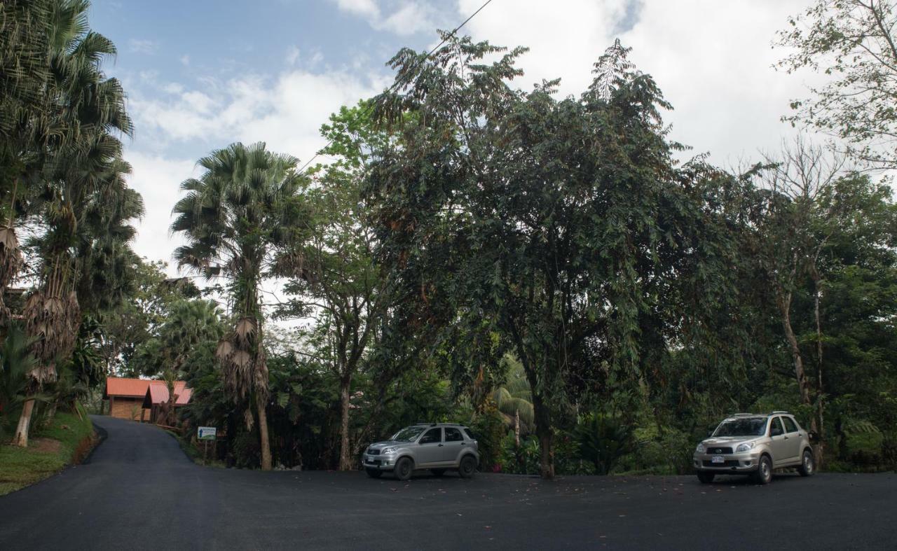 Hotel Pedacito De Cielo Boca Tapada Экстерьер фото
